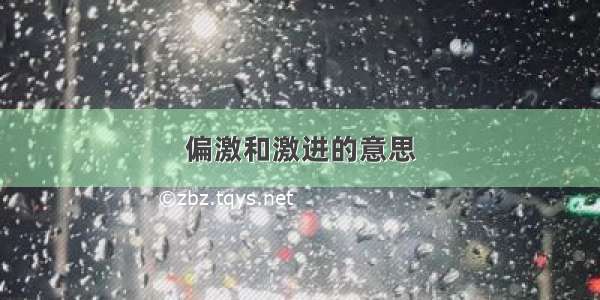 偏激和激进的意思