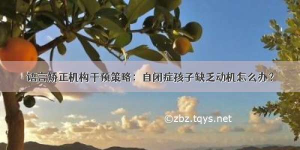 语言矫正机构干预策略：自闭症孩子缺乏动机怎么办？