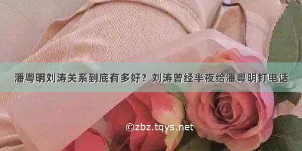 潘粤明刘涛关系到底有多好？刘涛曾经半夜给潘粤明打电话