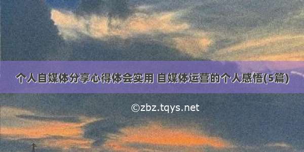 个人自媒体分享心得体会实用 自媒体运营的个人感悟(5篇)