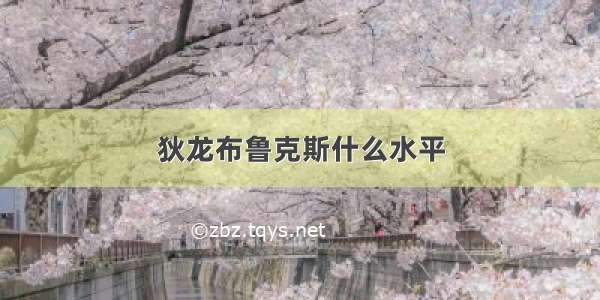 狄龙布鲁克斯什么水平