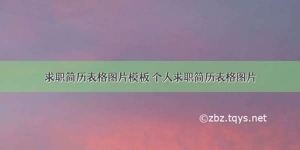 求职简历表格图片模板 个人求职简历表格图片