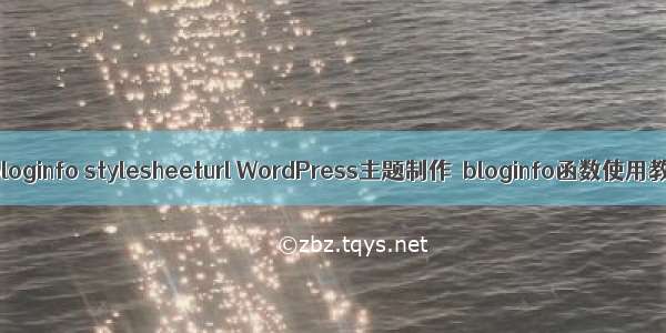 php bloginfo stylesheeturl WordPress主题制作–bloginfo函数使用教程