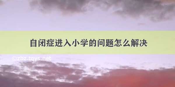 自闭症进入小学的问题怎么解决