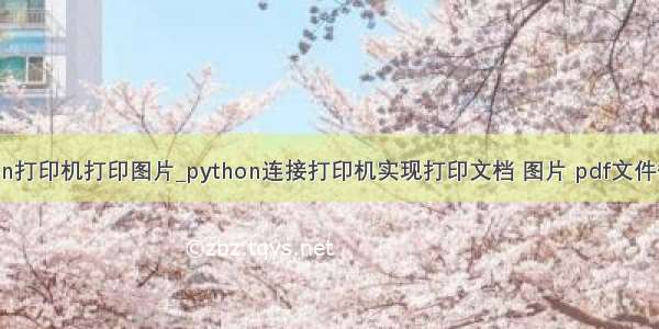 python打印机打印图片_python连接打印机实现打印文档 图片 pdf文件等功能