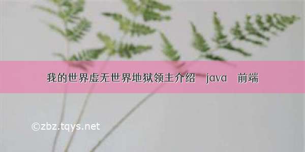 我的世界虚无世界地狱领主介绍 – java – 前端