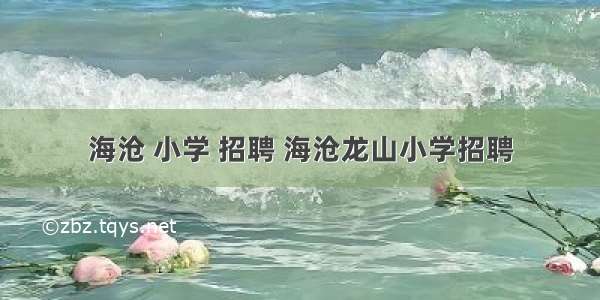 海沧 小学 招聘 海沧龙山小学招聘