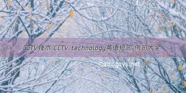 CCTV技术 CCTV technology英语短句 例句大全