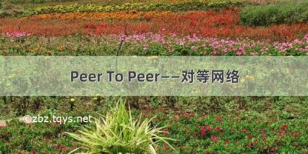 Peer To Peer——对等网络