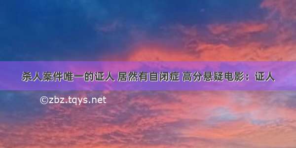 杀人案件唯一的证人 居然有自闭症 高分悬疑电影：证人