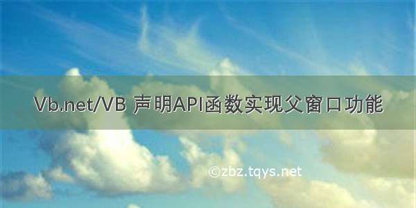 Vb.net/VB 声明API函数实现父窗口功能