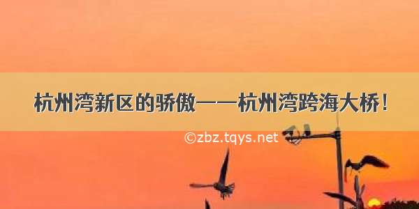 杭州湾新区的骄傲——杭州湾跨海大桥！
