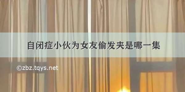 自闭症小伙为女友偷发夹是哪一集