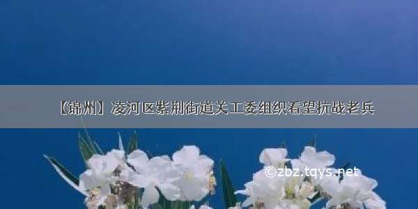 【锦州】凌河区紫荆街道关工委组织看望抗战老兵
