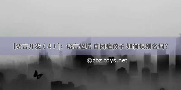 [语言开发（4）]：语言迟缓 自闭症孩子 如何识别名词？