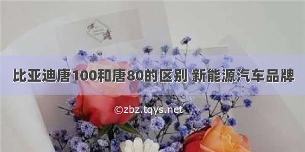 比亚迪唐100和唐80的区别 新能源汽车品牌