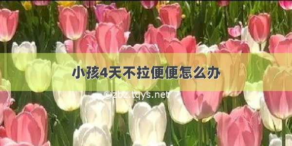 小孩4天不拉便便怎么办