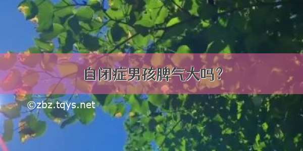 自闭症男孩脾气大吗？