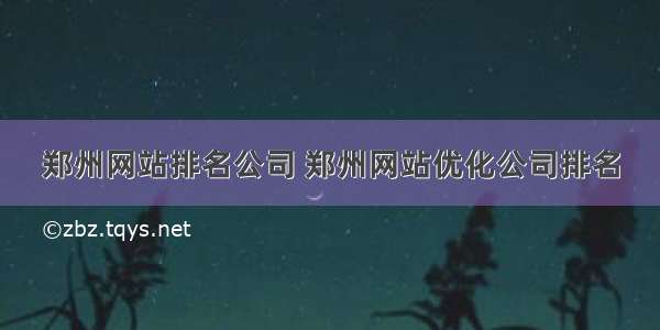郑州网站排名公司 郑州网站优化公司排名
