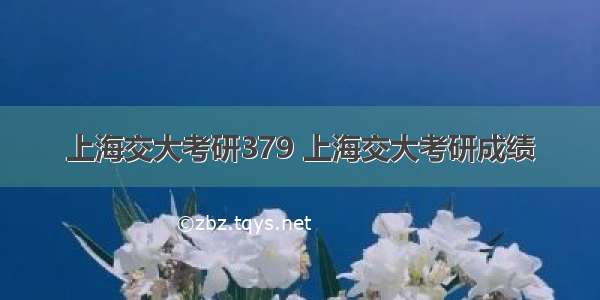 上海交大考研379 上海交大考研成绩