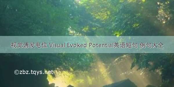 视觉诱发电位 Visual Evoked Potential英语短句 例句大全