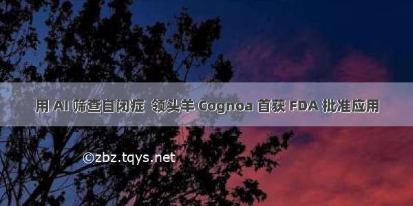 用 AI 筛查自闭症  领头羊 Cognoa 首获 FDA 批准应用