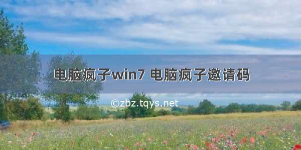 电脑疯子win7 电脑疯子邀请码