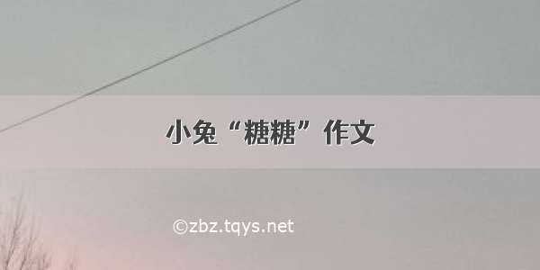 小兔“糖糖”作文