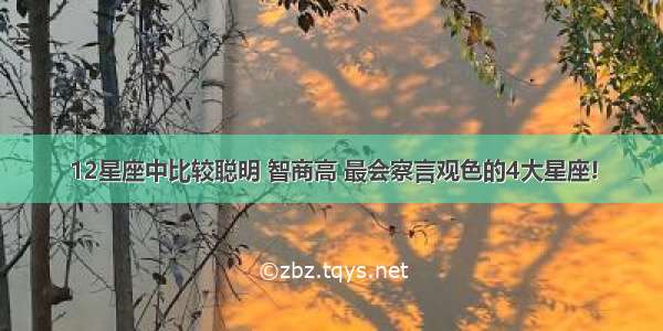 12星座中比较聪明 智商高 最会察言观色的4大星座!