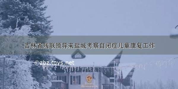 吉林省残联领导来盐城考察自闭症儿童康复工作