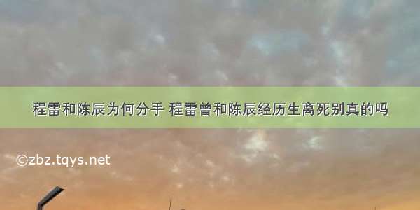 程雷和陈辰为何分手 程雷曾和陈辰经历生离死别真的吗