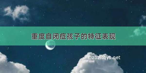 重度自闭症孩子的特征表现