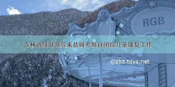 吉林省残联领导来盐城考察自闭症儿童康复工作