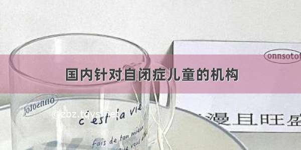 国内针对自闭症儿童的机构