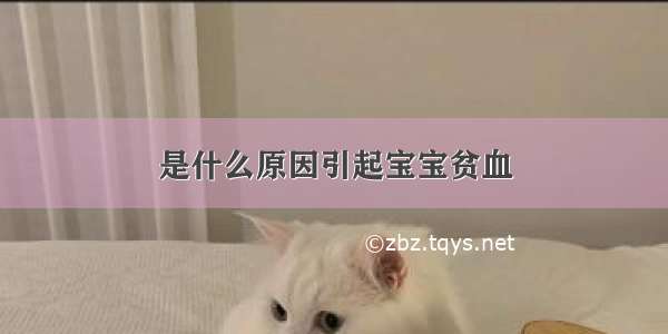 是什么原因引起宝宝贫血