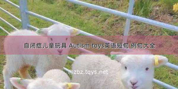 自闭症儿童玩具 Autism toys英语短句 例句大全