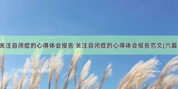 关注自闭症的心得体会报告 关注自闭症的心得体会报告范文(六篇)