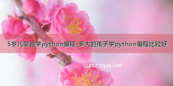 5岁儿童自学python编程-多大的孩子学python编程比较好