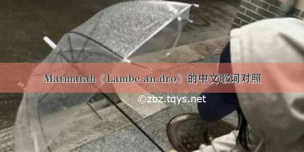 Matmatah《Lambe an dro》的中文歌词对照