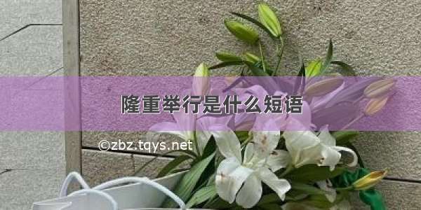 隆重举行是什么短语