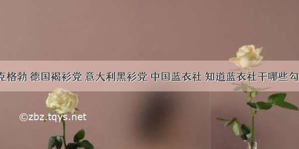 苏联克格勃 德国褐衫党 意大利黑衫党 中国蓝衣社 知道蓝衣社干哪些勾当吗？