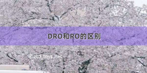 DRO和RO的区别
