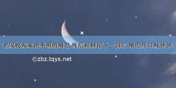 老汉收养来路不明的哑巴 死后棺材留下一封信 哑巴开口喊爷爷！