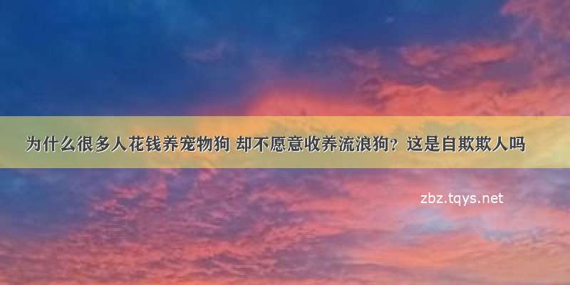 为什么很多人花钱养宠物狗 却不愿意收养流浪狗？这是自欺欺人吗