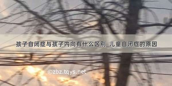 孩子自闭症与孩子内向有什么区别_儿童自闭症的原因