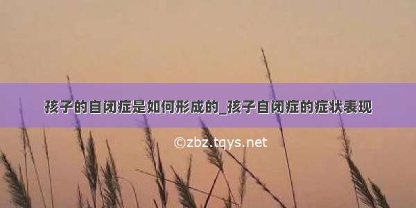 孩子的自闭症是如何形成的_孩子自闭症的症状表现