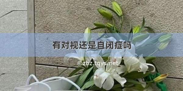 有对视还是自闭症吗