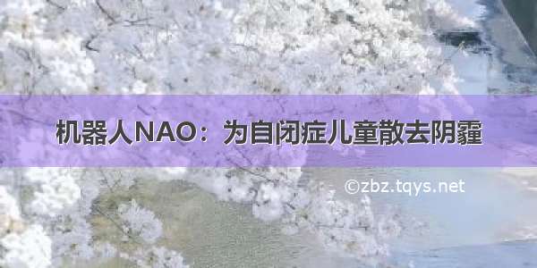 机器人NAO：为自闭症儿童散去阴霾