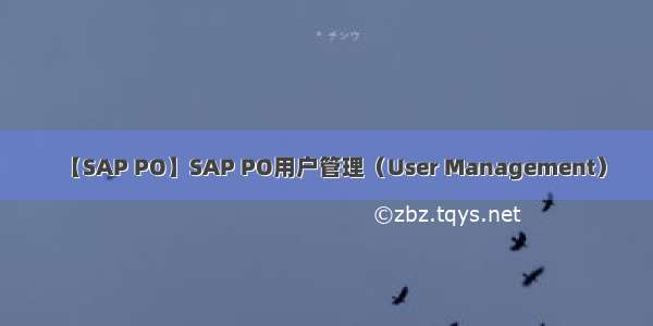 【SAP PO】SAP PO用户管理（User Management）