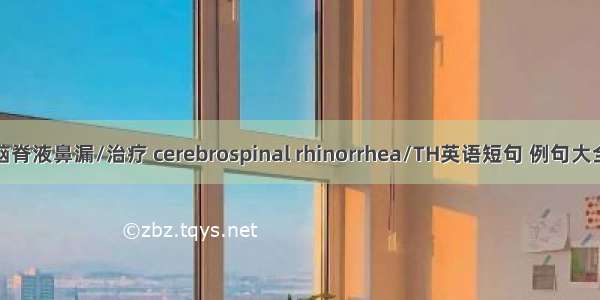 脑脊液鼻漏/治疗 cerebrospinal rhinorrhea/TH英语短句 例句大全